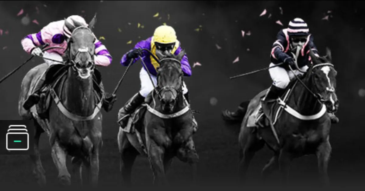 周三,大乐透期号,专家质合分,国民彩票,彩票平台,在线投注,高效购彩,彩票开奖